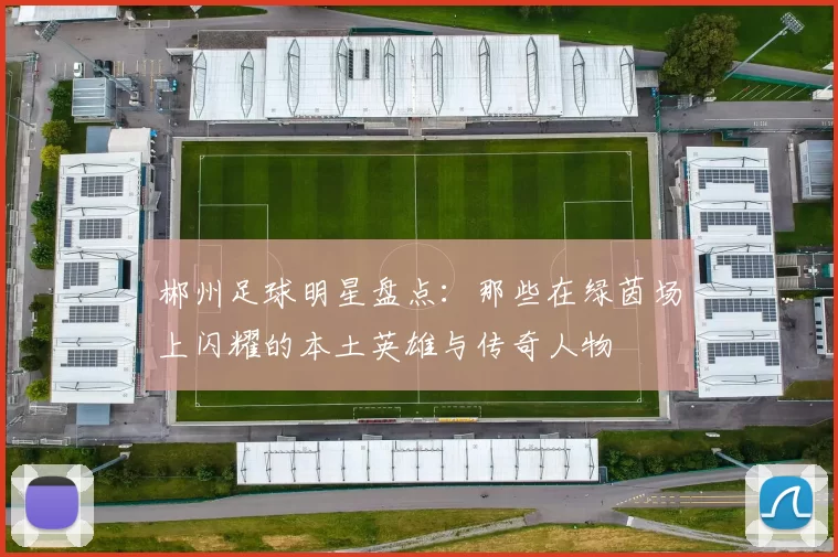 郴州足球明星盘点：那些在绿茵场上闪耀的本土英雄与传奇人物