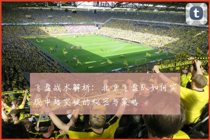 飞盘战术解析：北京飞盘队如何实现中路突破的秘密与策略