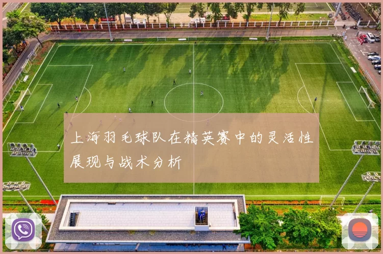 上海羽毛球队在精英赛中的灵活性展现与战术分析