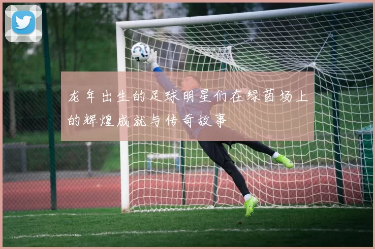 龙年出生的足球明星们在绿茵场上的辉煌成就与传奇故事