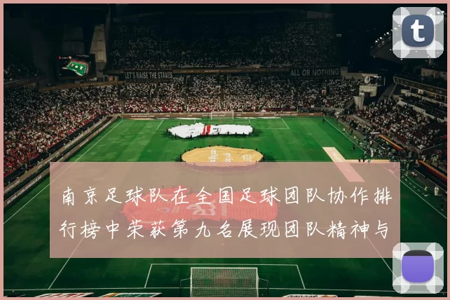 南京足球队在全国足球团队协作排行榜中荣获第九名展现团队精神与实力