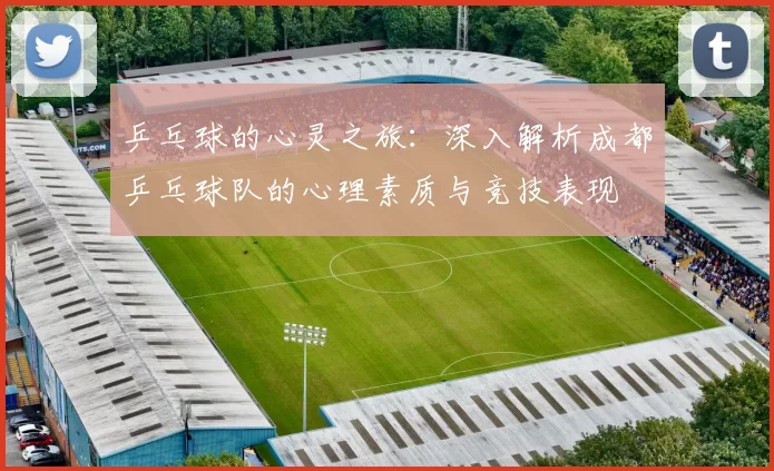 乒乓球的心灵之旅：深入解析成都乒乓球队的心理素质与竞技表现