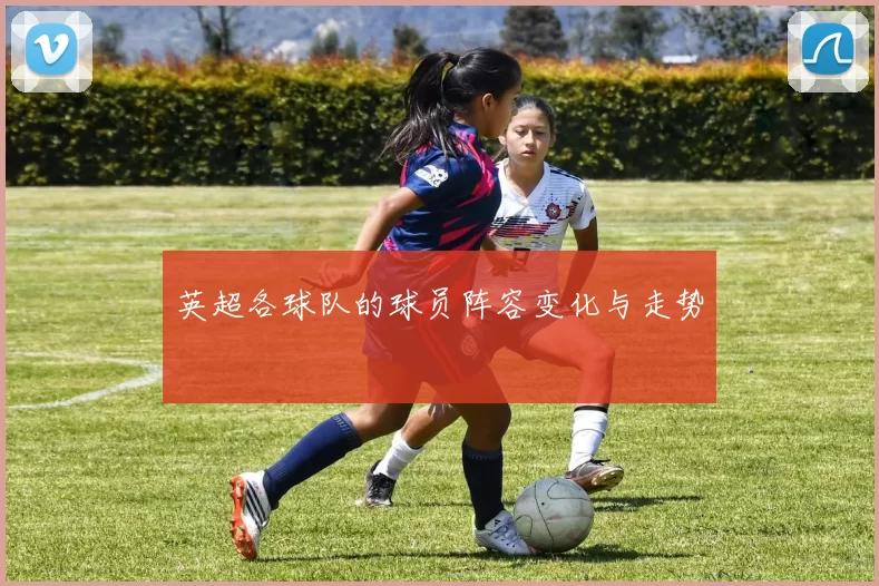 英超各球队的球员阵容变化与走势