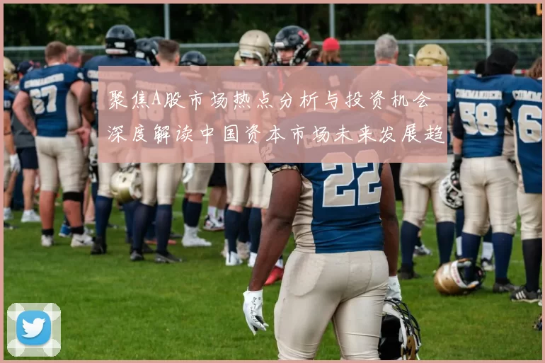 聚焦A股市场热点分析与投资机会 深度解读中国资本市场未来发展趋势