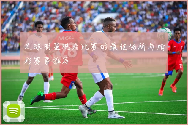 足球明星观看比赛的最佳场所与精彩赛事推荐