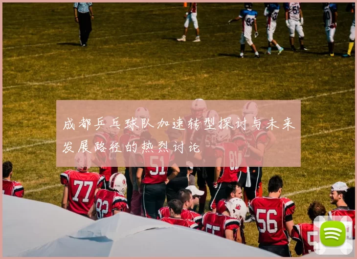 成都乒乓球队加速转型探讨与未来发展路径的热烈讨论