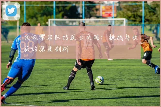 武汉攀岩队的反击之路：挑战与收获的深度剖析