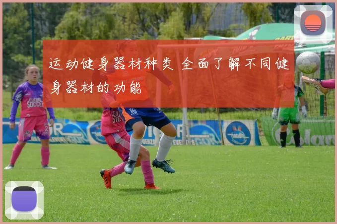 运动健身器材种类 全面了解不同健身器材的功能