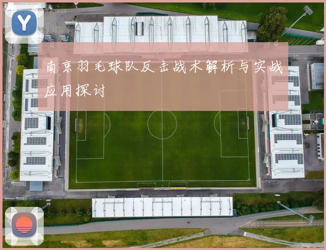 南京羽毛球队反击战术解析与实战应用探讨