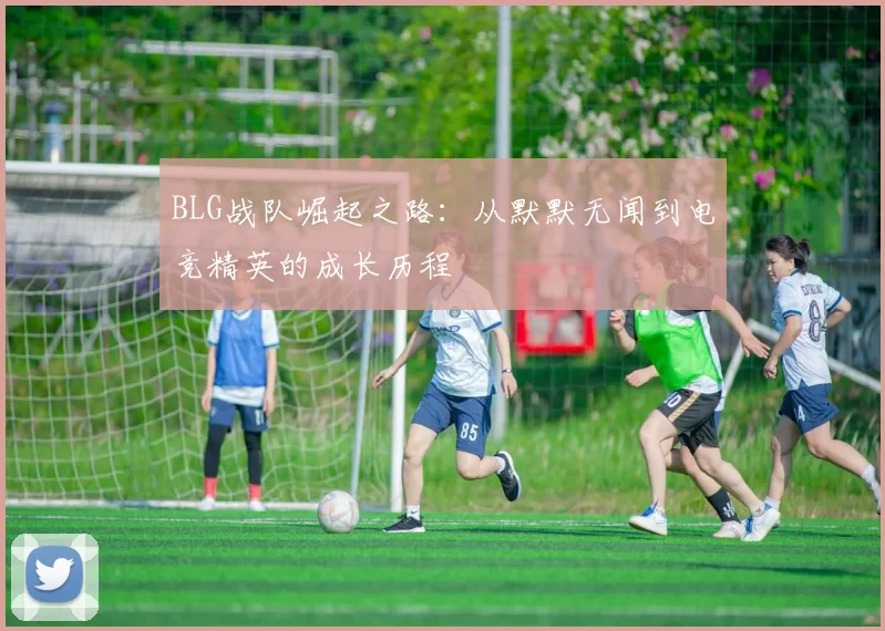 BLG战队崛起之路：从默默无闻到电竞精英的成长历程