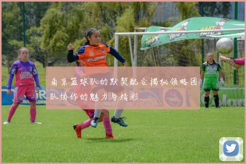 南京篮球队的默契配合揭秘领略团队协作的魅力与精彩