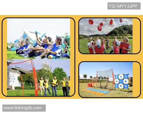 飞盘运动的魅力与挑战：深入了解深圳飞盘队的耐力与团队精神